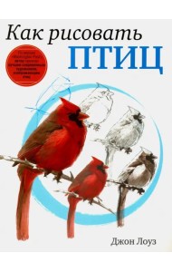 Как рисовать птиц