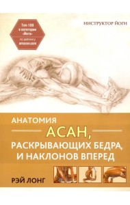 Анатомия асан, раскрывающих бедра, и наклонов вперед