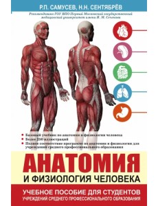 Анатомия и физиология человека. Учебное пособие
