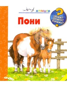 Пони Пони