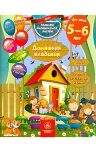 Домашняя академия. Сборник развивающих заданий. Для детей 5-6 лет