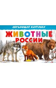 Карточки. Животные России