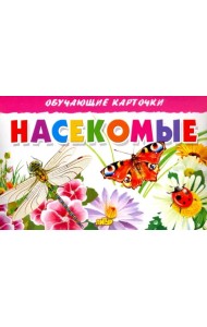 Насекомые. Обучающие карточки