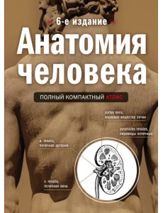 Анатомия человека. Полный компактный атлас
