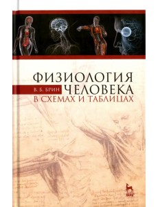 Физиология человека в схемах и таблицах. Учебное пособие