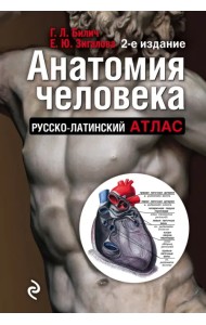Анатомия человека. Русско-латинский атлас