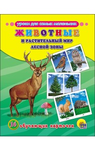 Обучающие карточки. Животные и растительный мир лесной зоны