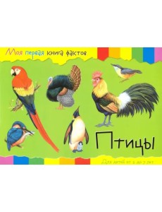 Птицы Птицы