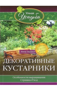 Декоративные кустарники