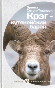 Крэг-кутенейский баран
