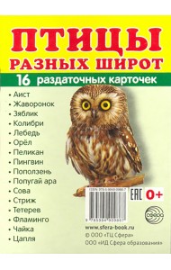 Раздаточные карточки 