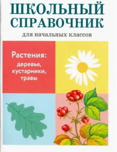 Растения: деревья, кустарники, травы Растения: деревья, кустарники, травы