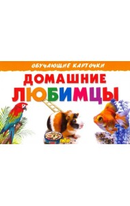 Домашние любимцы