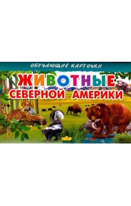 Животные Северной Америки
