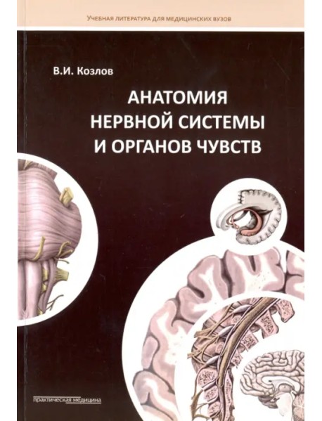 Анатомия нервной системы и органов чувств. Учебное пособие