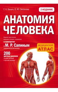 Анатомия человека