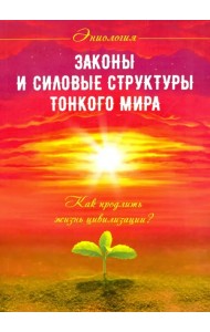 Законы и силовые структуры Тонкого мира. Как продлить жизнь цивилизации?