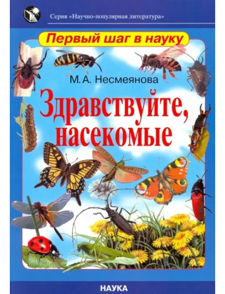 Здравствуйте, насекомые