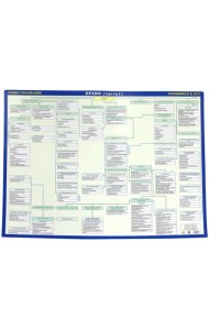 ЕГЭ Право. Обществознание. Двустороняя. Часть 1-2