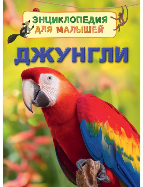 Джунгли