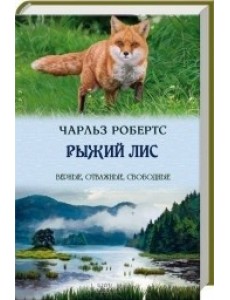 Рыжий лис