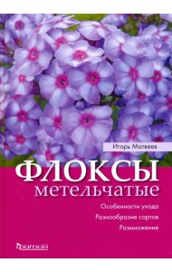 Флоксы метельчатые. Особенности ухода