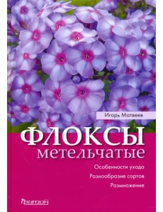 Флоксы метельчатые. Особенности ухода