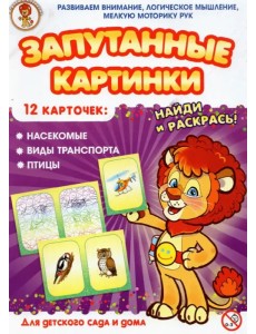 Запутанные картинки. Насекомые. Виды транспорта. Птицы