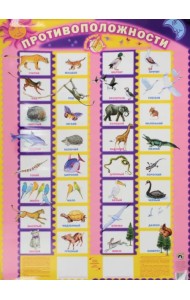 Противоположности. Плакат