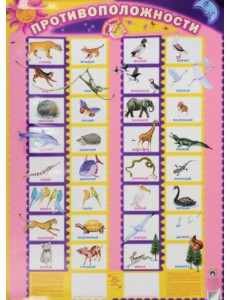 Противоположности. Плакат Противоположности. Плакат