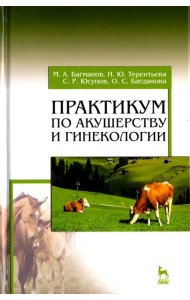 Практикум по акушерству и гинекологии. Учебное пособие