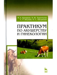 Практикум по акушерству и гинекологии. Учебное пособие