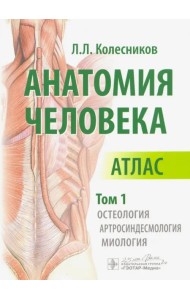 Анатомия человека. Атлас. Том 1. Остеология, артросиндесмология, миология