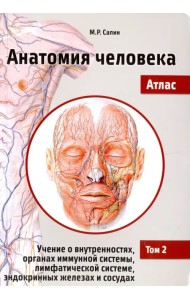 Анатомия человека. Атлас. Учебное пособие в 3-х томах. Том 2