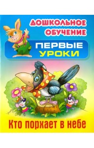 Кто порхает в небе