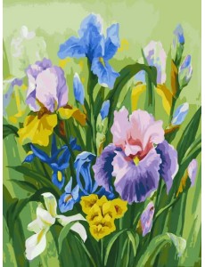 Живопись на холсте по номерам. Нежные ирисы, 30x40 см Живопись на холсте по номерам. Нежные ирисы, 30x40 см