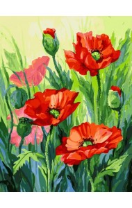 Живопись на холсте по номерам. Красные маки, 30x40 см