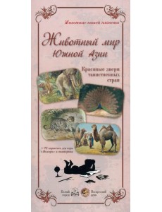 Животный мир Южной Азии. Красивые звери