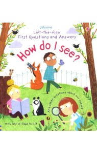 Lift-the-Flap First Questions & Answers How Do I See? Board book