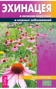 Эхинацея в лечении вирусных и кожных заболеваний