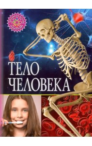 Тело человека