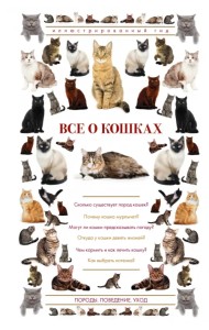 Все о кошках