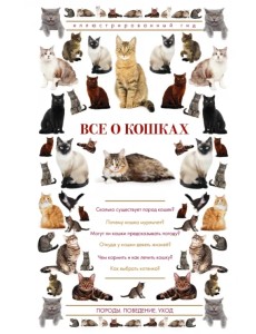 Все о кошках