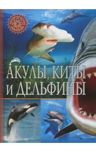 Акулы, киты и дельфины