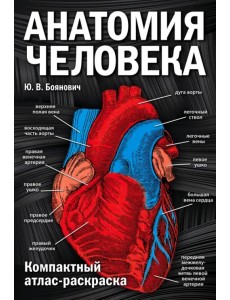 Анатомия человека. Компактный атлас-раскраска