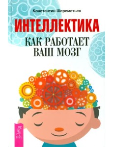 Интеллектика. Как работает ваш мозг