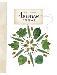 Мой гербарий. Листья деревьев