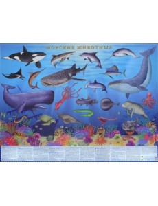 Морские животные. Настольное издание