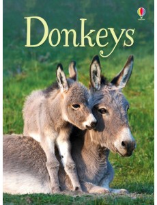Donkeys Donkeys
