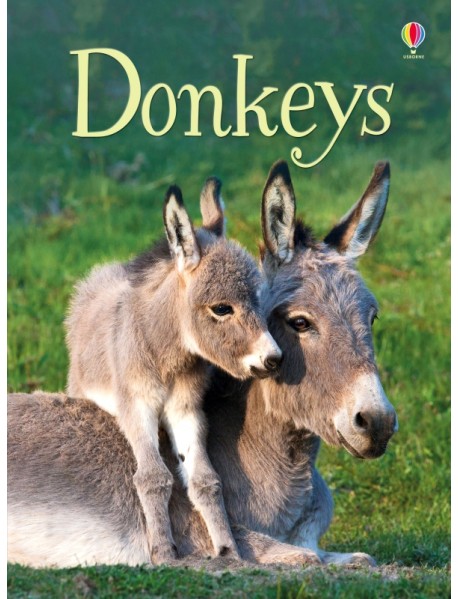 Donkeys